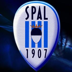 Spal, il fotovoltaico vale 15 mila euro di multa. La Figc "Legge obsoleta"