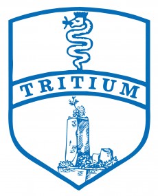 Tritium - Foggia diretta web 1-1