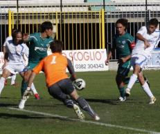 pavia