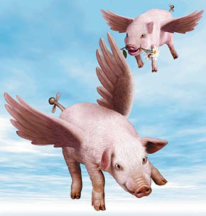 porci_con_le_ali