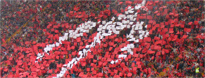 tifosi triestina