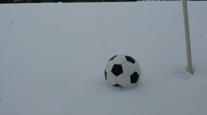 neve_carpi