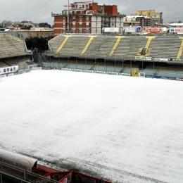 stadio neve