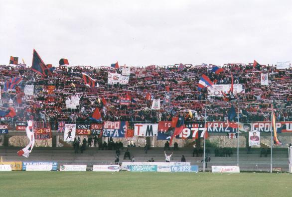 tifosi campobasso