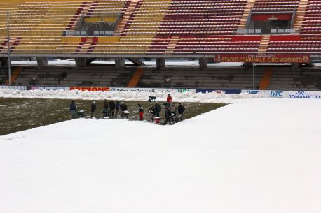 vigorito-neve