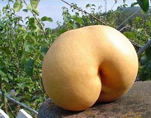 frutto forma strana
